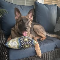 Bill Gutierrez's profile image