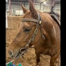 Aprillynn's profile image