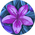 cecilia duque's Profile Image