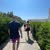 Alison Hickling's profile image