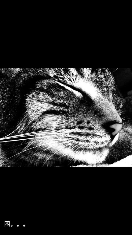 Rj A.'s profile image