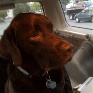 Ken G.'s profile image