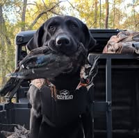 Michael Clark's profile image