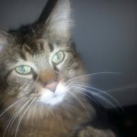 Eliza Sycko's profile image