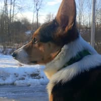 Sherrill Houser's profile image