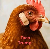 Mike Johnson's profile image