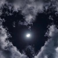 Sherry Cain-Vinsons's profile image