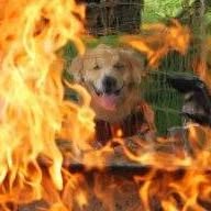 Mike Orloff's profile image