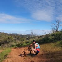 Sara Spence's profile image
