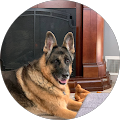 Profile Photo of kathleen schultz