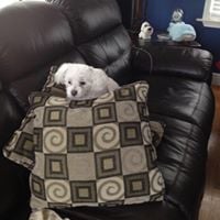 Stacy C.'s profile image
