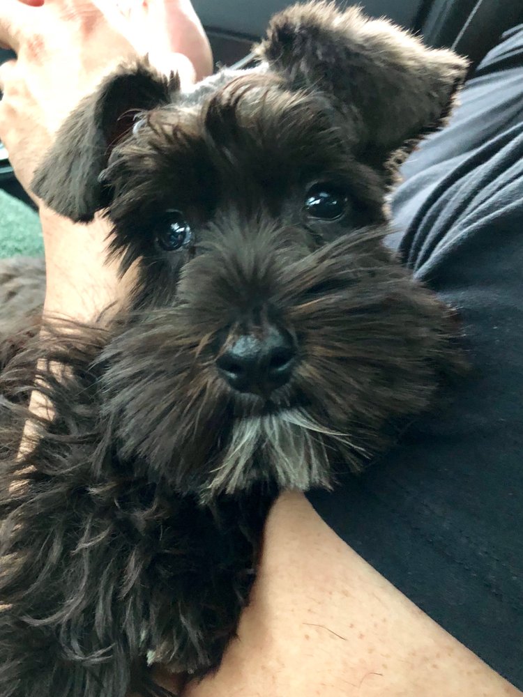 Piper T.'s profile image