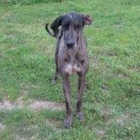 Diane McCaully's profile image