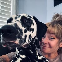 Nikki Freelend's profile image
