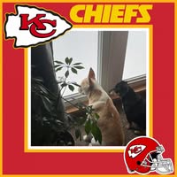 Jennifer Hunnicutt's profile image