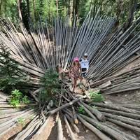 Katie Kuhr Toyne's profile image
