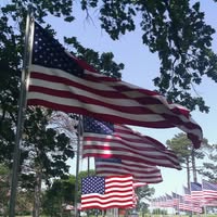 Kelly Henderson Laramore's profile image