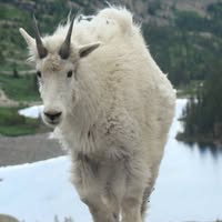 Craig Andernacht's profile image