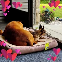 Donna Zahn's profile image
