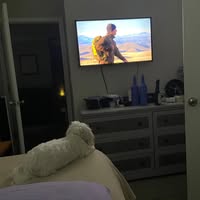 Arlene Coleman's profile image