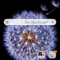 Janice Shulse- Newham's profile image