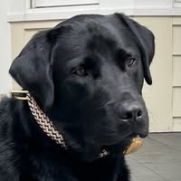 Marcellene Trask's profile image