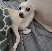 Jay Spinda's profile image