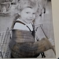 Lynn Wener's profile image