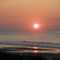 Emily Moore's profile image