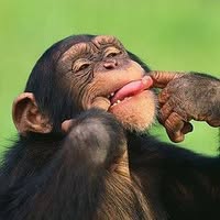 Anna Maria Mizell's profile image