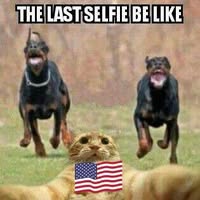 David R. Wilkes's profile image