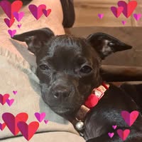 Terry Tharp McLean's profile image