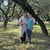 Tammy C Pingleton's profile image