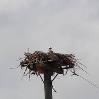 Kelly Bragg's profile image
