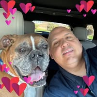Christo CheckMark's profile image