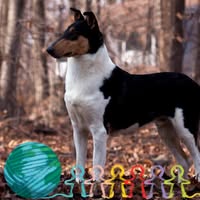 Genee Gorup's profile image
