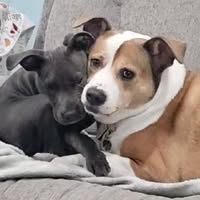 Traci Gallagher's profile image