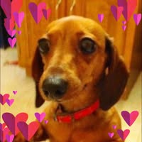 Gene Stalnecker's profile image