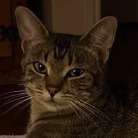 Debbie Sue's profile image