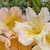 Mary Rausch's profile image