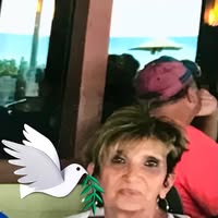Teri Tufano's profile image