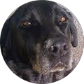 Mark Link's Profile Image