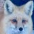 RyRo KT's profile image
