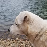 Cody Baker's profile image