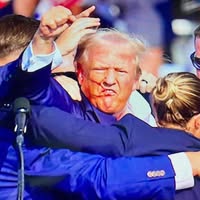 Carla Ayers's profile image