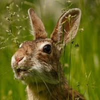 Margo Hoffer's profile image