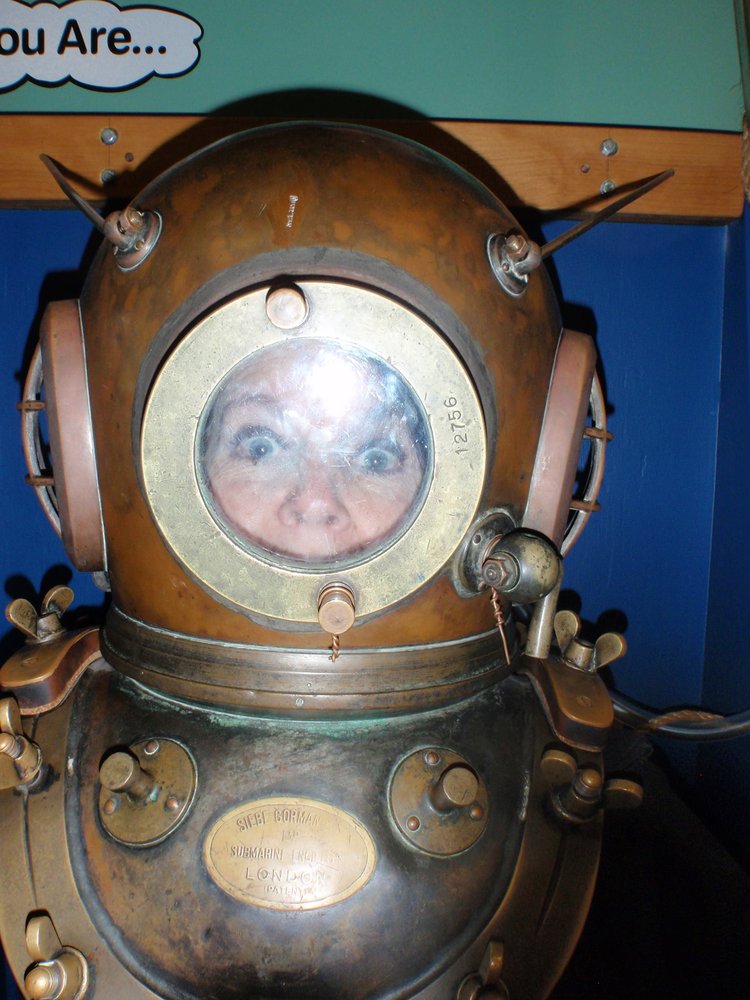 Sandi C.'s profile image