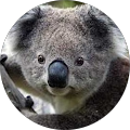 Andrew's Profile Image