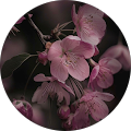 Lyn Low's Profile Image