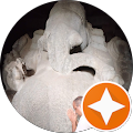 pavankadoni's Profile Image
